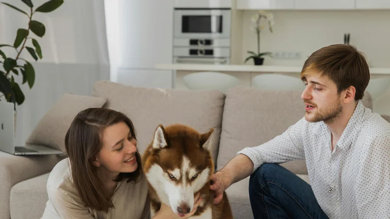 Treinamento Positivo de Cães: Comandos Básicos para uma Relação de Confiança