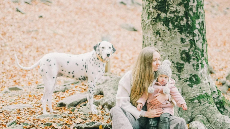 Melhores Campings Pet-Friendly: Dicas Essenciais para Viajar com Seu Pet!