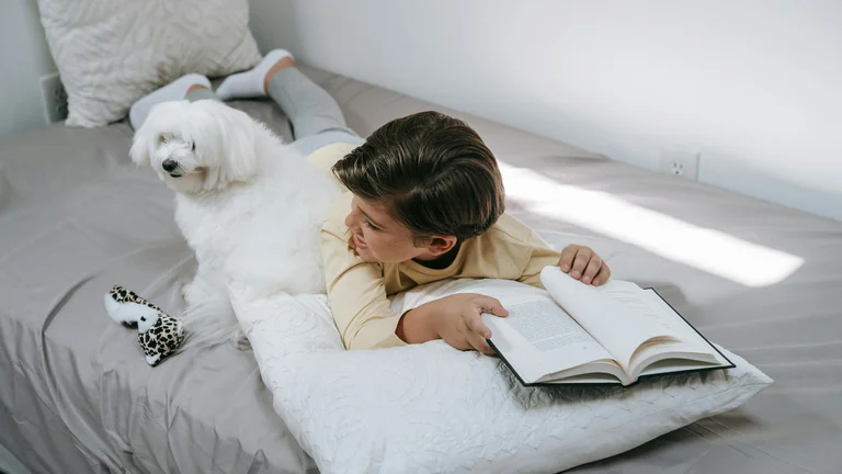 Treine Seu Pet para Ficar Sozinho em Casa: Guia Completo e Dicas Anti-Ansiedade