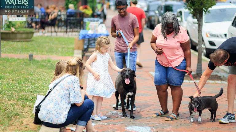 Socialização do Pet em Passeios Públicos: Garanta um Cão Equilibrado e Feliz!