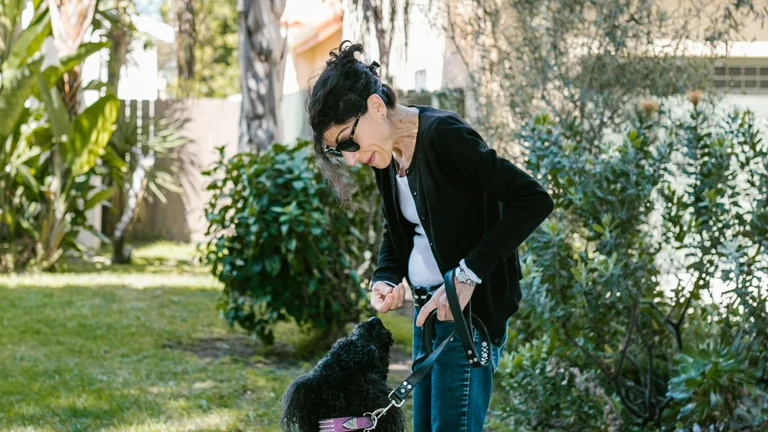 Guia Completo: Ensine seu Cachorro a Andar ao Lado e Tenha Passeios Incríveis!