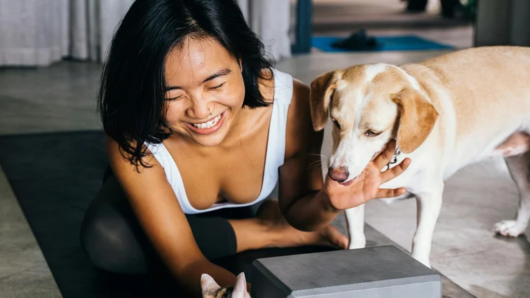 Guia Completo: Enriquecimento Ambiental para Cães e Gatos | Melhore a Qualidade de Vida do Seu Pet
