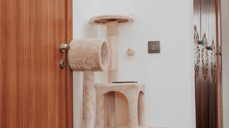 Estimule o Instinto de Caça do Seu Gato de Forma Segura e Saudável!