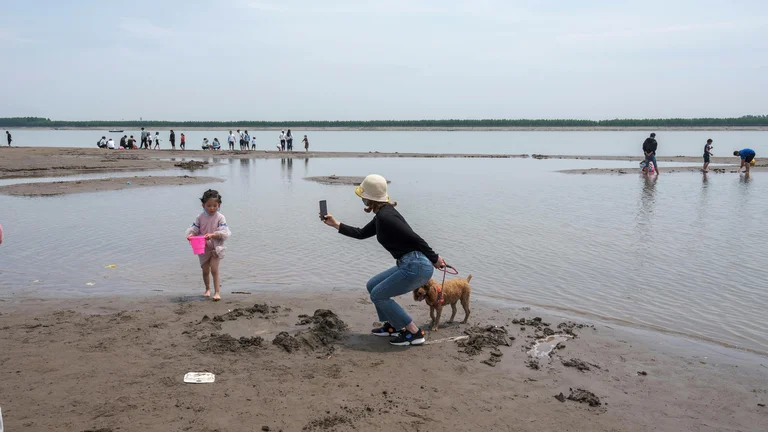 Guia Completo: Atividades ao Ar Livre para Aproveitar as Férias com Seu Pet