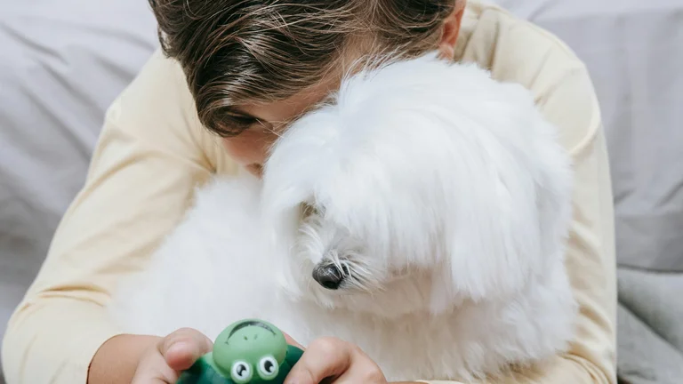 Como Lidar com Cães que Pulam em Visitas: Estratégias e Dicas para Treinamento Eficaz